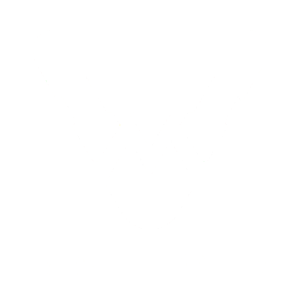 Manifold